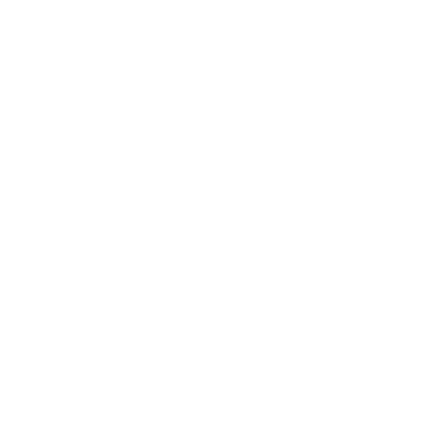 Dataviter logo